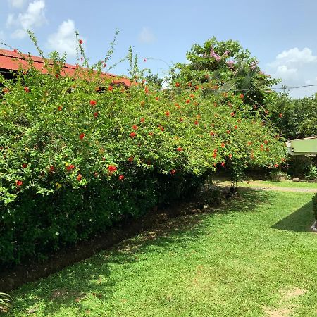 Casona Tica Linda Ξενοδοχείο Sarapiquí Εξωτερικό φωτογραφία